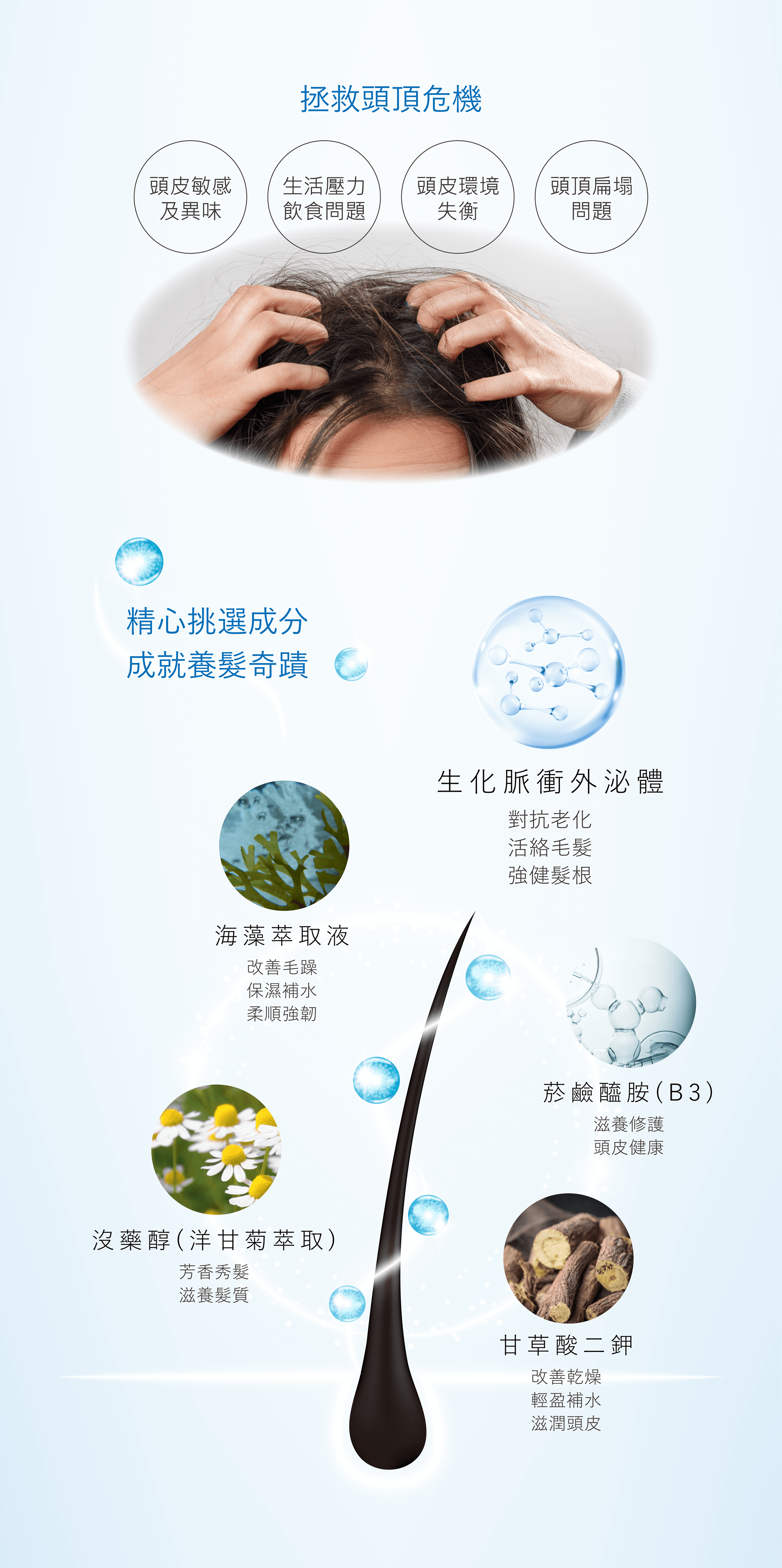 掉髮原因與頭皮問題｜壓力與油水平衡失調影響髮根