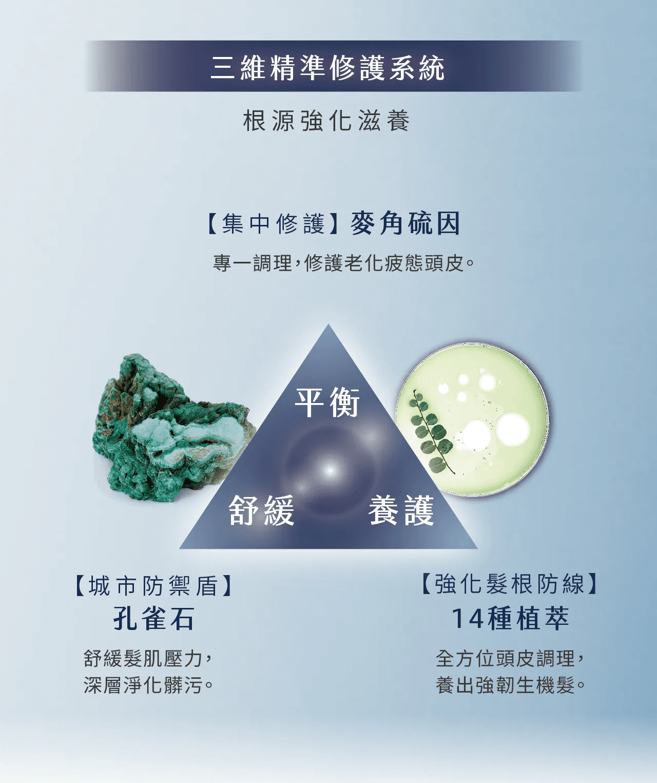 頭皮調理三大功效｜平衡油脂舒緩頭皮｜強化髮根健康