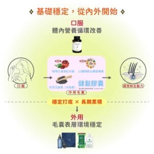 健髮膠囊口服營養循環改善 搭配外用養髮穩定頭皮環境