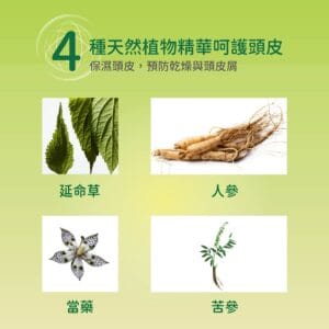 天然植物養髮成分｜延命草、人參與苦參調理頭皮