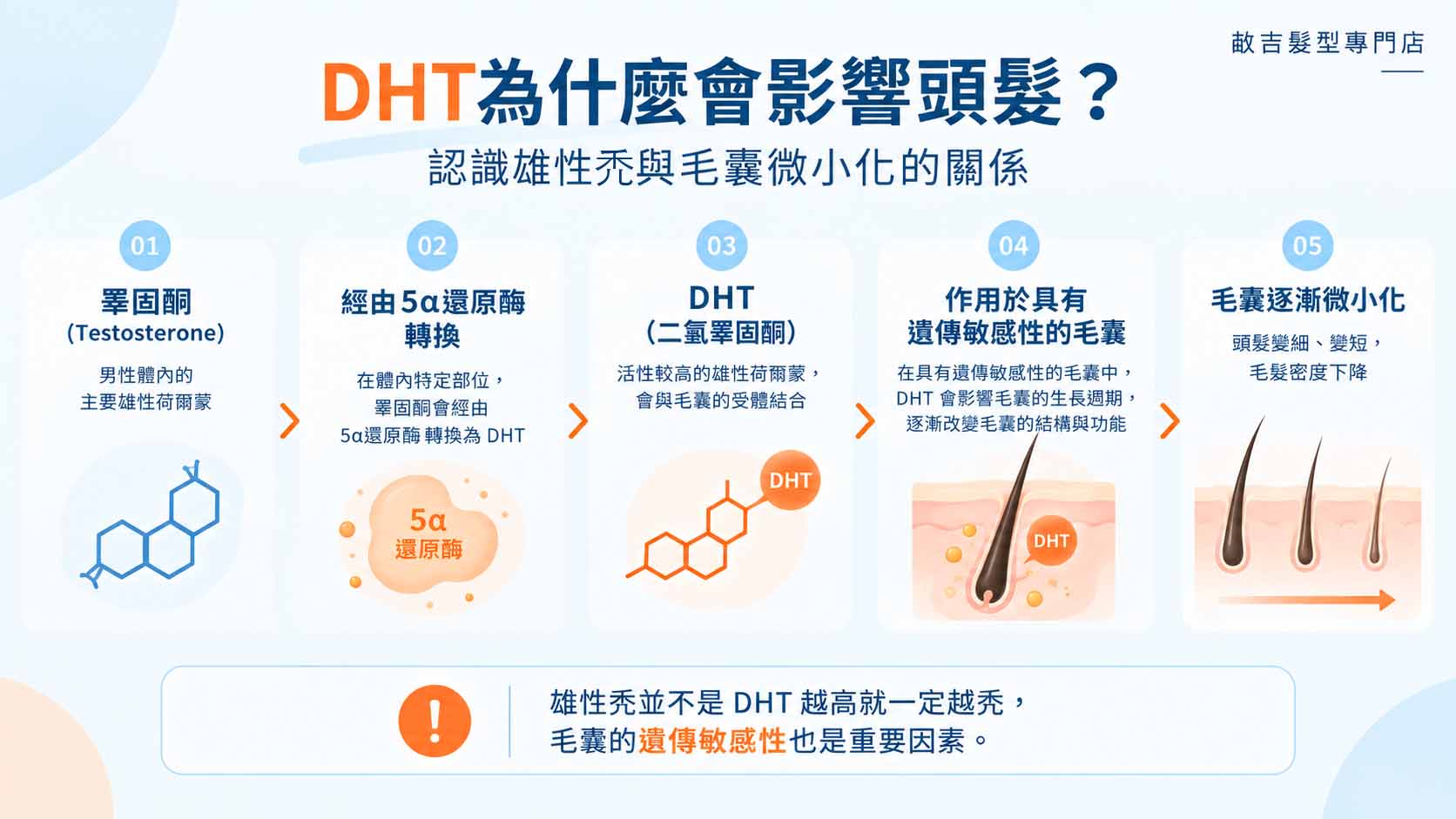 雄性禿初期症狀與DHT作用流程圖，說明睪固酮經5α還原酶轉換成DHT，以及遺傳敏感性毛囊逐漸微小化的過程。
